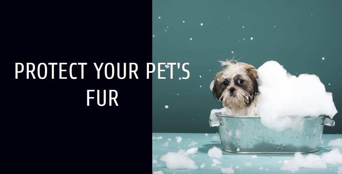 Can Water Softener Damage Pet Fur